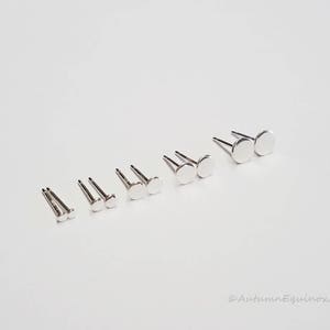 May include: A set of silver stud earrings in various sizes. The earrings are arranged in order of size, with the smallest on the left and the largest on the right.