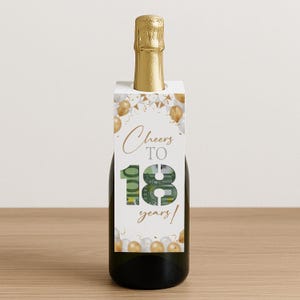 Geldgeschenk 18. Geburtstag | Last Minute Geschenk Etikett Wein | Sofort Download | Flaschenanhänger | Flaschenetikett Geburtstagsgeschenk