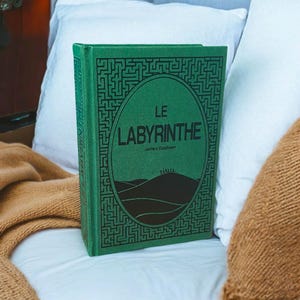 Può includere: Un libro rilegato in verde con il titolo "LE LABYRINTHE" di James Dashner. La copertina presenta un'illustrazione in bianco e nero di un labirinto e un paesaggio con colline.
