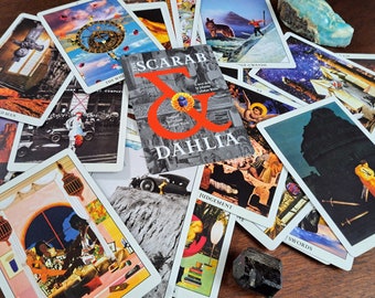 El Tarot del Escarabajo y la Dalia de Coastal Ghost