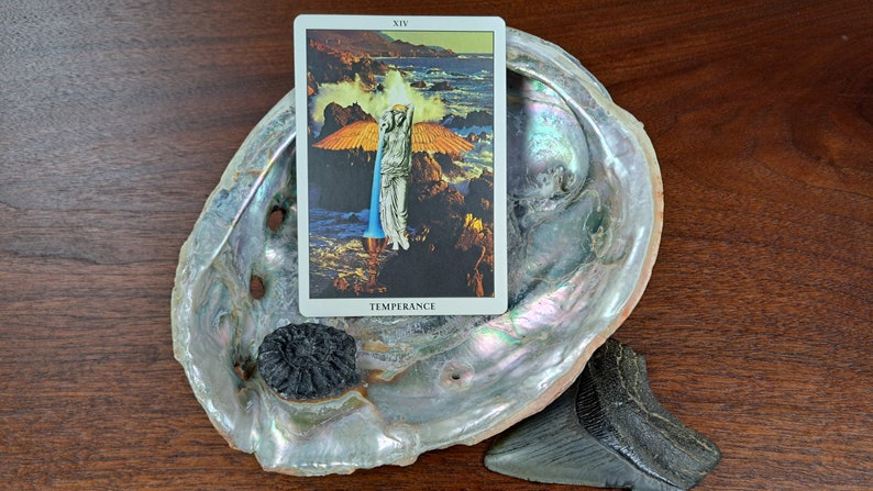 Puede incluir: Una lectura de tarot con la carta de la Templanza, una concha, una piedra negra y un diente de tibur&oacute;n sobre una superficie de madera.