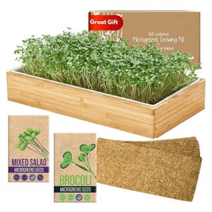 Self Watering Microgreens Growing Kit. Hands Down the Easiest Way to Grow Microgreens.