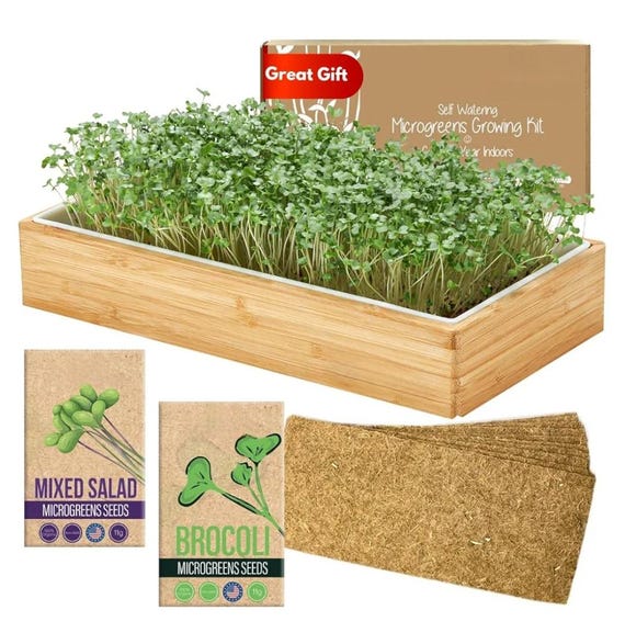 Self-Watering Microgreens Growing Kit