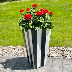 May include: A tall, black and white striped planter filled with vibrant red geraniums. The planter has a geometric design and is set on a stone patio with a grassy background.