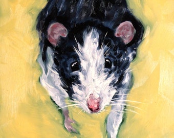 Rat no.7