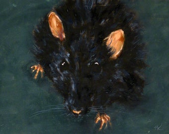 Rat no.6