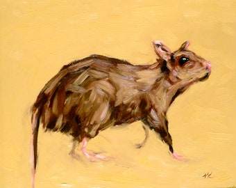 Rat no.5