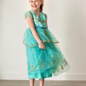 Jasmine inspired princess costume dress, Jasmine dress, Jasmine princess costume, Costume of princess Jasmine, Princess Jasmine dress