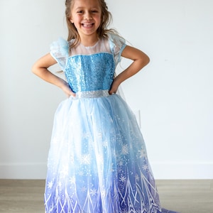 Elsa inspiriertes Prinzessinnenkleid, blaues Winterprinzessinnenkleid, Winterprinzessinkostümkleid, blaues Prinzessinnenkostüm-Kostümset, Geburtstagsfeier