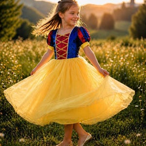 white christmas dresses Disney Princesses Once Upon a Time main image 0