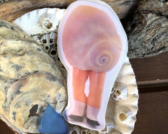 Moon Snail Shell Doll  - Vinyl Sticker