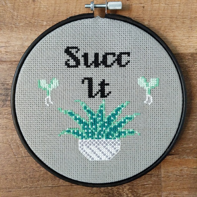 PDF Succ It Succulent Cross Stitch Pattern Embroidery Crossstitch Aloe Zebra Plant Suck DIY Digital houseplant Download Wall Art Hanging