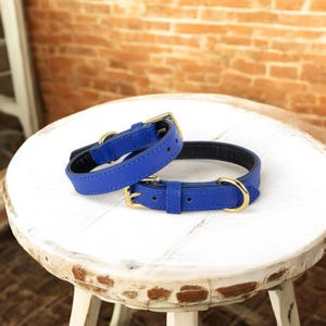 100% Genuine Leather Dog Collar, Golden Plated Buckle Dog Collar, Unique Leather Dog Collar, For Extra Small to Medium Dogs,Gift For Puppies