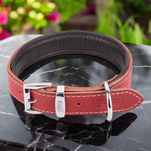 100% Genuine Leather Dog Collar, CLASSIC Premium Collar - Gifts for Dogs & Puppies - Extra Small, Small, Medium, Large and Extra Large Sizes