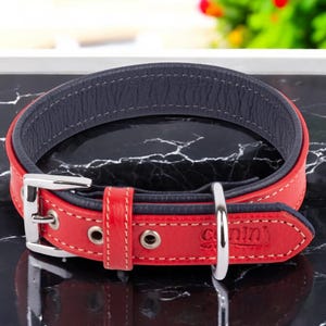 100% Genuine Leather Dog Collar, Optional Personalization, Double-Layer Leather Dog Collar, Quality- Durable Dog Collar,Unique Gift For Dogs