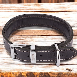 100% Genuine Leather, Handmade-Matt Premium Dog Collar - Gifts for Dogs & Puppies - Different Colors - Extra Small to Extra Large Options