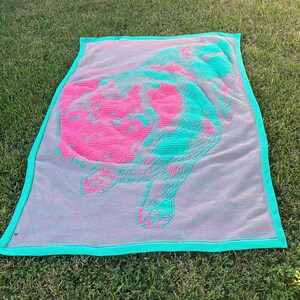 Op de afbeelding: Een turquoise en roze gehaakte deken met een hondenontwerp. De deken ligt op een groene grasmat.