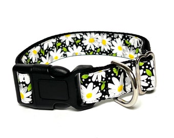 Daisies green and black dog collar with buckle, adjustable dog collar, floral standard dog collar, dog collar with flowers