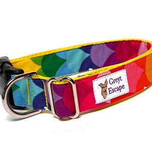 Rainbow dog collar with buckle, rainbow mermaid scales dog collar, colorful dog collar image 7