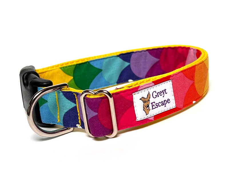 Rainbow dog collar with buckle, rainbow mermaid scales dog collar, colorful dog collar image 7