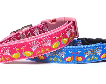 Peacock dog collar with buckle in blue or pink, dog collar with birds, Florida dog collar, tropical dog collar