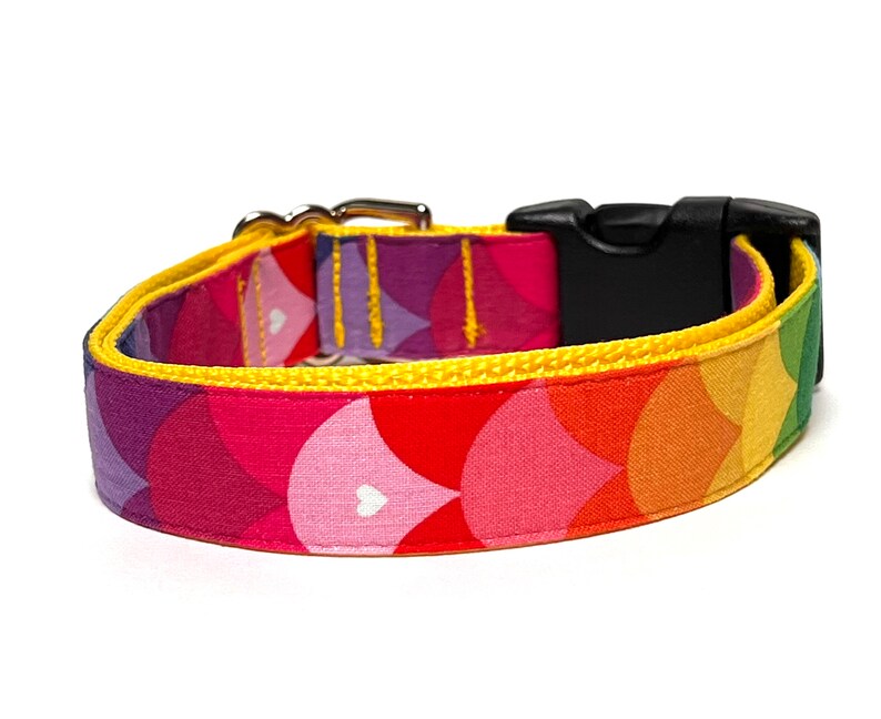 Rainbow dog collar with buckle, rainbow mermaid scales dog collar, colorful dog collar image 4