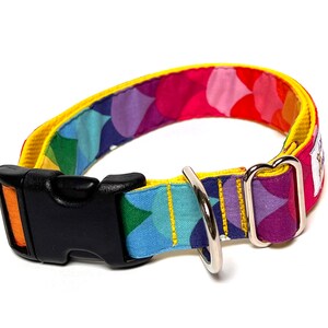 Rainbow dog collar with buckle, rainbow mermaid scales dog collar, colorful dog collar image 6
