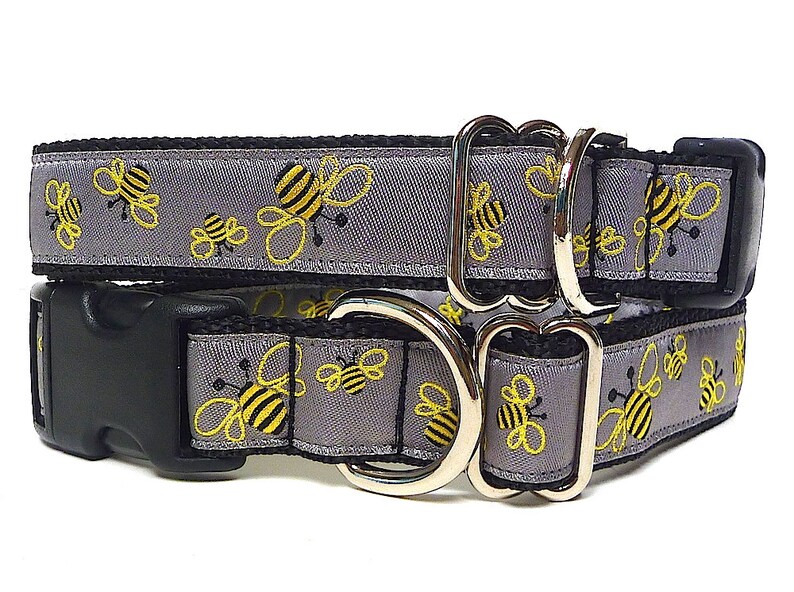 buckle bee