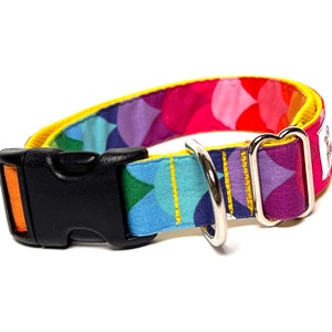 Rainbow dog collar with buckle, rainbow mermaid scales dog collar, colorful dog collar image 9