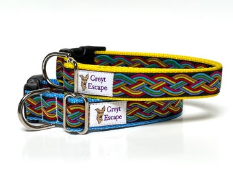 Rainbow Celtic braid blue dog collar with buckle, adjustable dog collar, blue Celtic dog collar, Celtic knot, Rainbow Celtic Braid