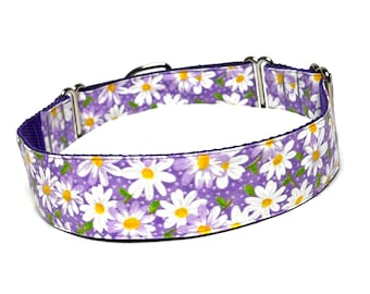 Purple Daisy Martingale Dog Collar: Floral Cotton, Handmade
