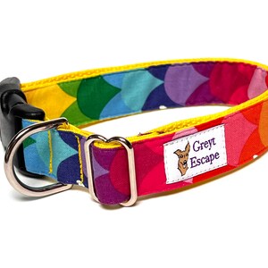 Rainbow dog collar with buckle, rainbow mermaid scales dog collar, colorful dog collar image 10