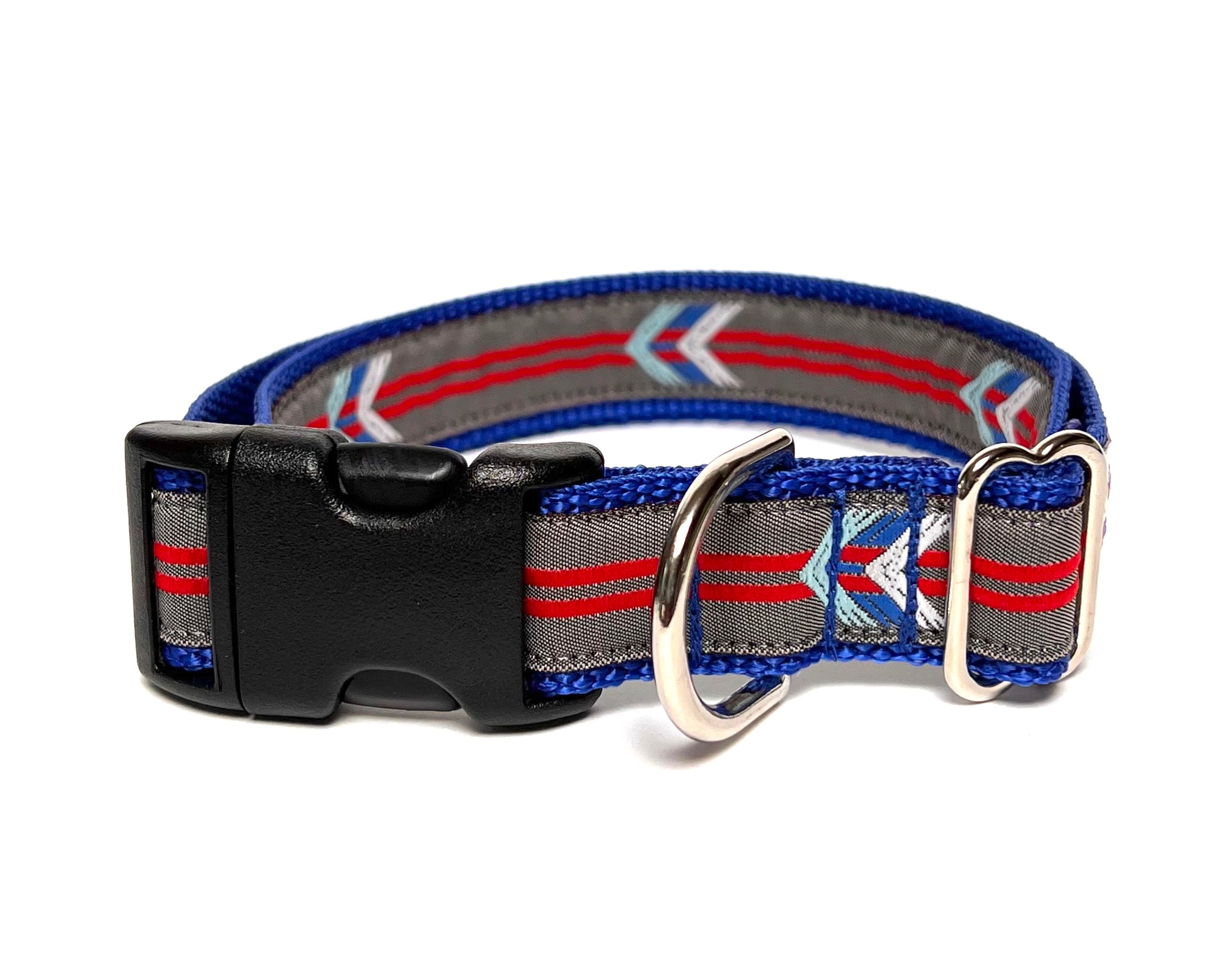 Bow and 2025 arrow dog collar