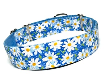 Daisies blue and white martingale dog collar, daisy dog collar, floral dog collar, floral martingale collar, Daisies