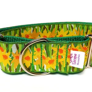 Floral martingale dog collar with yellow daffodils design, no-slip training collar, greyhound collar image 5