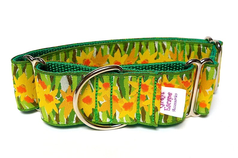 Floral martingale dog collar with yellow daffodils design, no-slip training collar, greyhound collar image 5