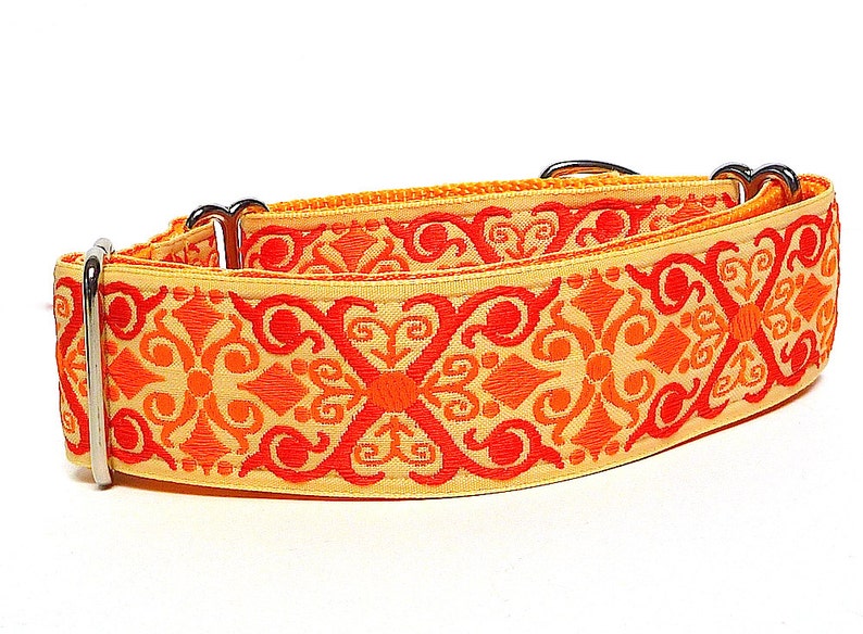 Orange Medieval Martingale Dog Collar in Tangerine Orange With Etsy UK