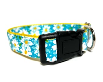 Daisies teal yellow and white dog collar with buckle, adjustable dog collar, floral standard dog collar, dog collar with flowers