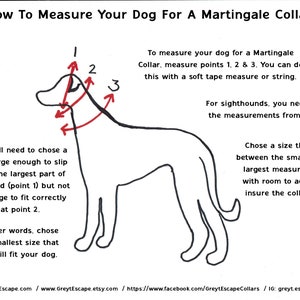 Egyptian dog martingale dog collar in black and silver, Greyhound Collar, Sighthound Collar, no-slip collar, EGYPTIAN DOG image 2