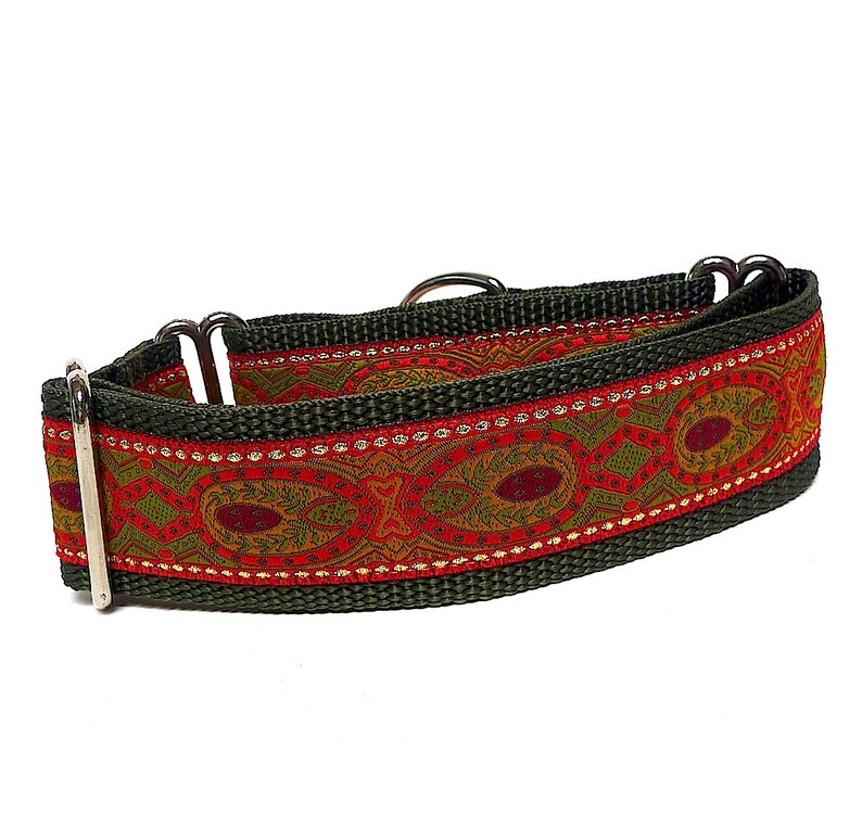 Martingale dog collar in a rust orange and olive green Etsy