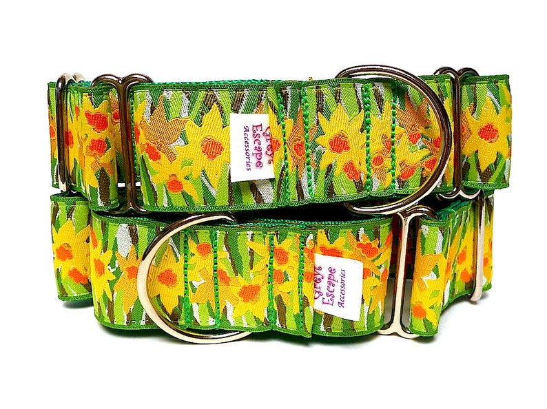 Floral martingale dog collar with yellow daffodils design, no-slip training collar, greyhound collar image 3