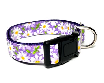 Daisies purple and white dog collar with buckle, adjustable dog collar, floral standard dog collar, dog collar with flowers