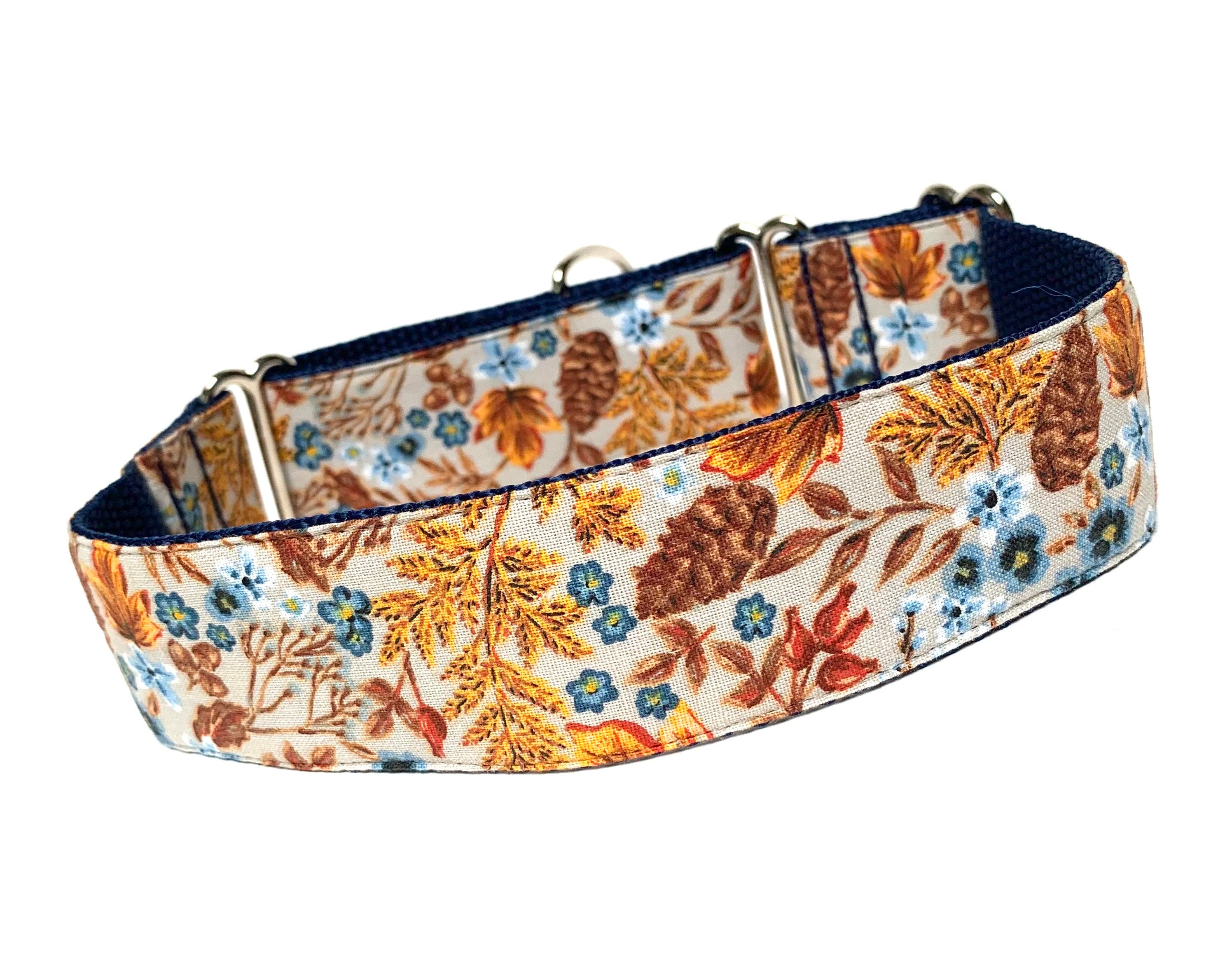 Do Martingale Collars Hurt Dogs