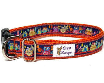 Fun owl print in a bold bright orange and navy adjustable dog collar with buckle, dog collar with whimsy owl design, HOOT