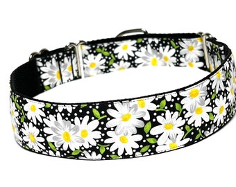 Daisies green and black martingale dog collar, daisy dog collar, floral dog collar, floral martingale collar, Daisies