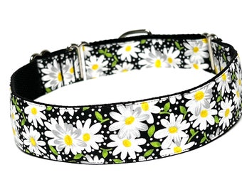 A gorgeous daisy print martingale dog collar in white black yellow and green that's bright enough for spring and fun through the year