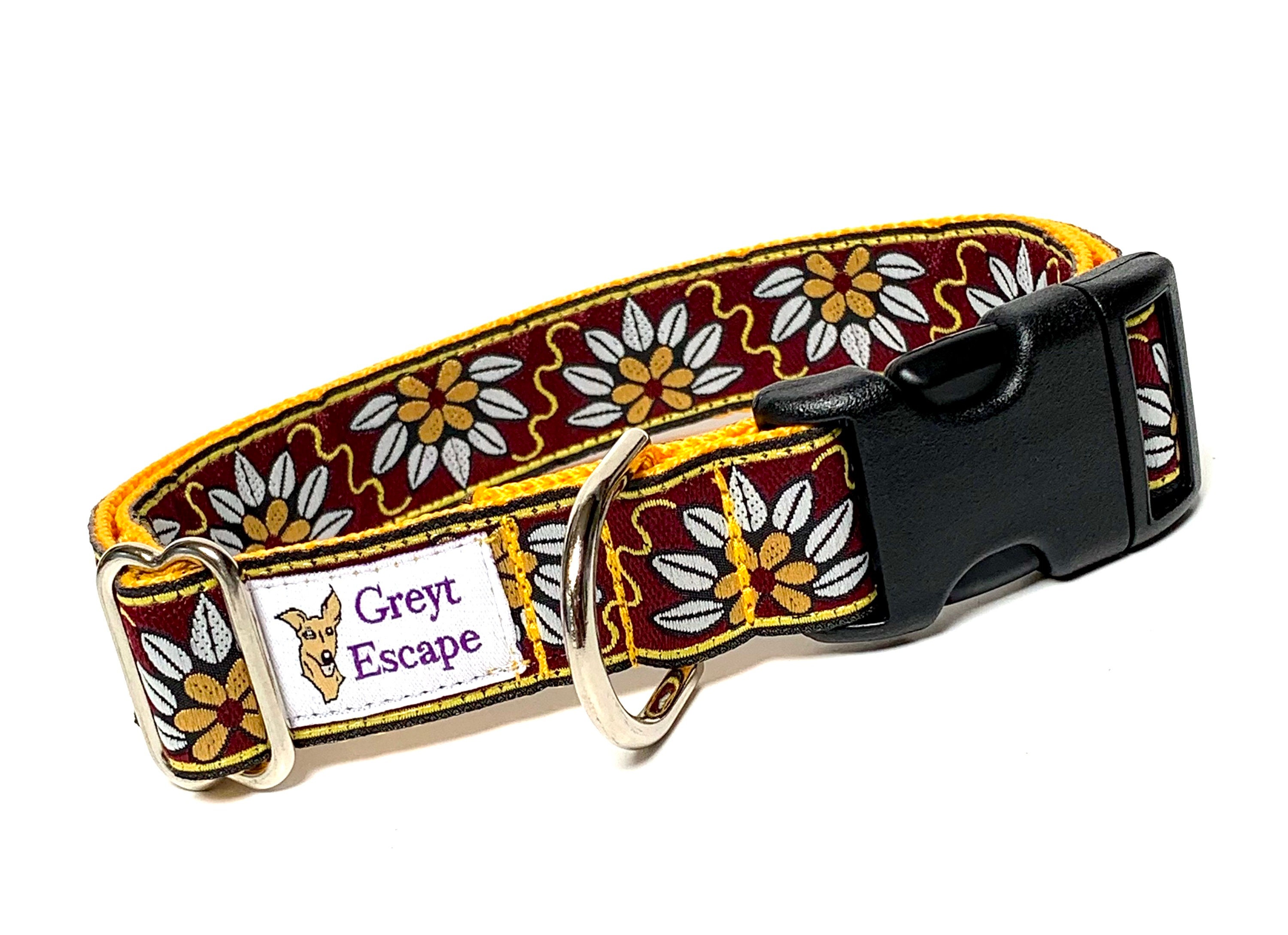 Greyt collars 2025