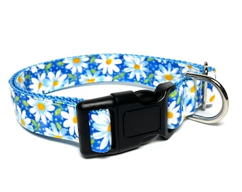 Daisies blue and white dog collar with buckle, adjustable dog collar, floral standard dog collar, dog collar with flowers