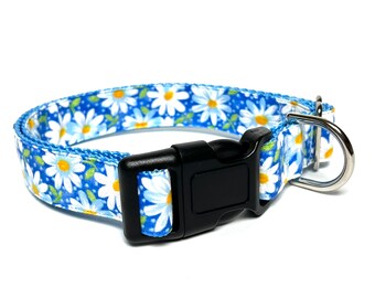 Adjustable Blue & White Daisy Floral Dog Collar with Buckle - Spring Flower Pet Accessory
