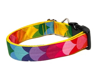 Rainbow dog collar with buckle, rainbow mermaid scales dog collar, colorful dog collar